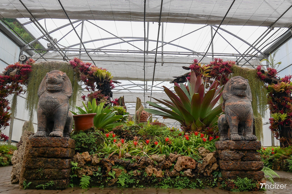 Jardín Botánico Reina Sirikit, Chiang Mai Jardín Botánico Reina Sirikit, Chiang Mai