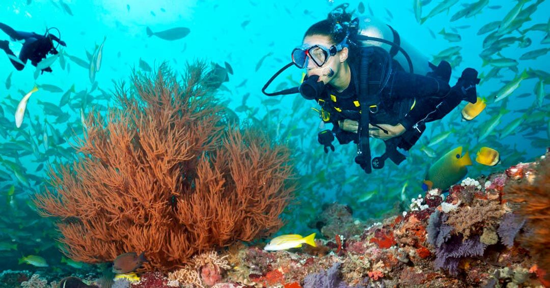 Las 5 mejores cosas para hacer en Phuket