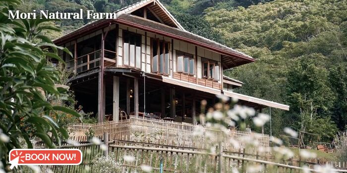 12 hoteles de moda en Chiang Mai