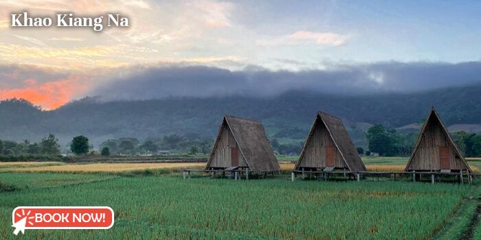 12 hoteles de moda en Chiang Mai