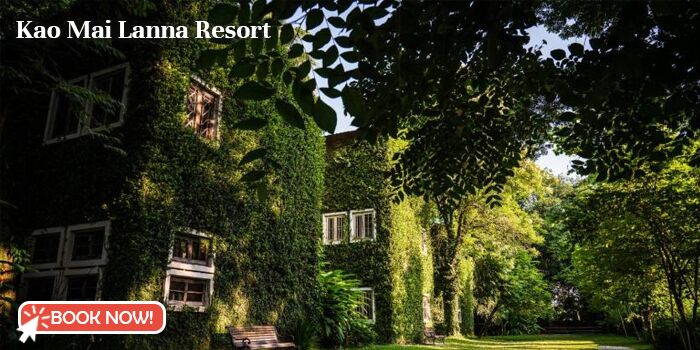 12 hoteles de moda en Chiang Mai