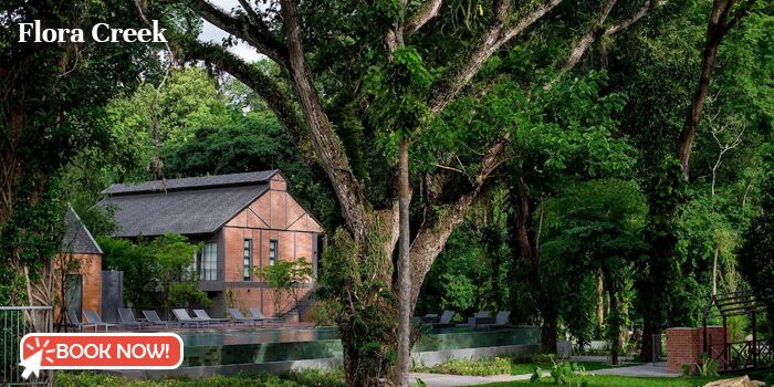 12 hoteles de moda en Chiang Mai