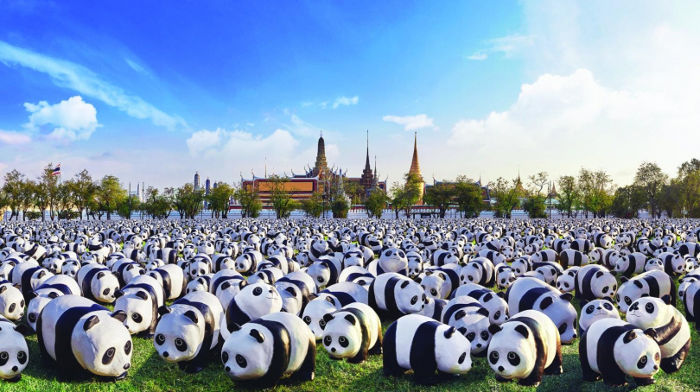 Bangkok se prepara para el Tour Mundial de los 1.600 Pandas