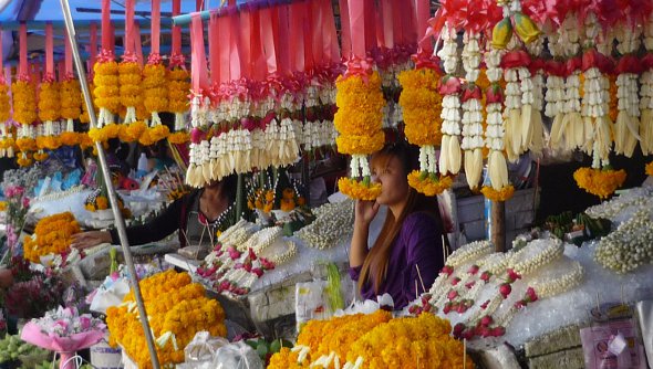 Bendice este vehiculo