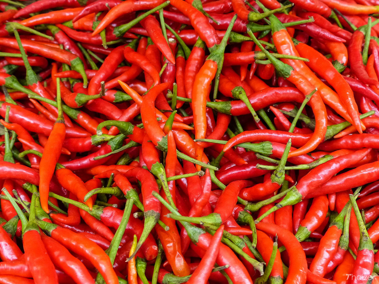 Colores de Tailandia: rojo brillante