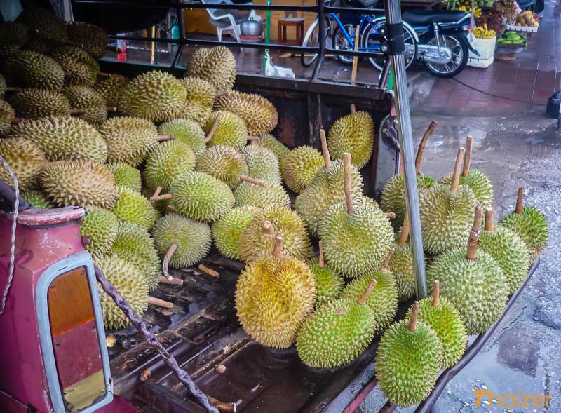 Durian – rey de las frutas