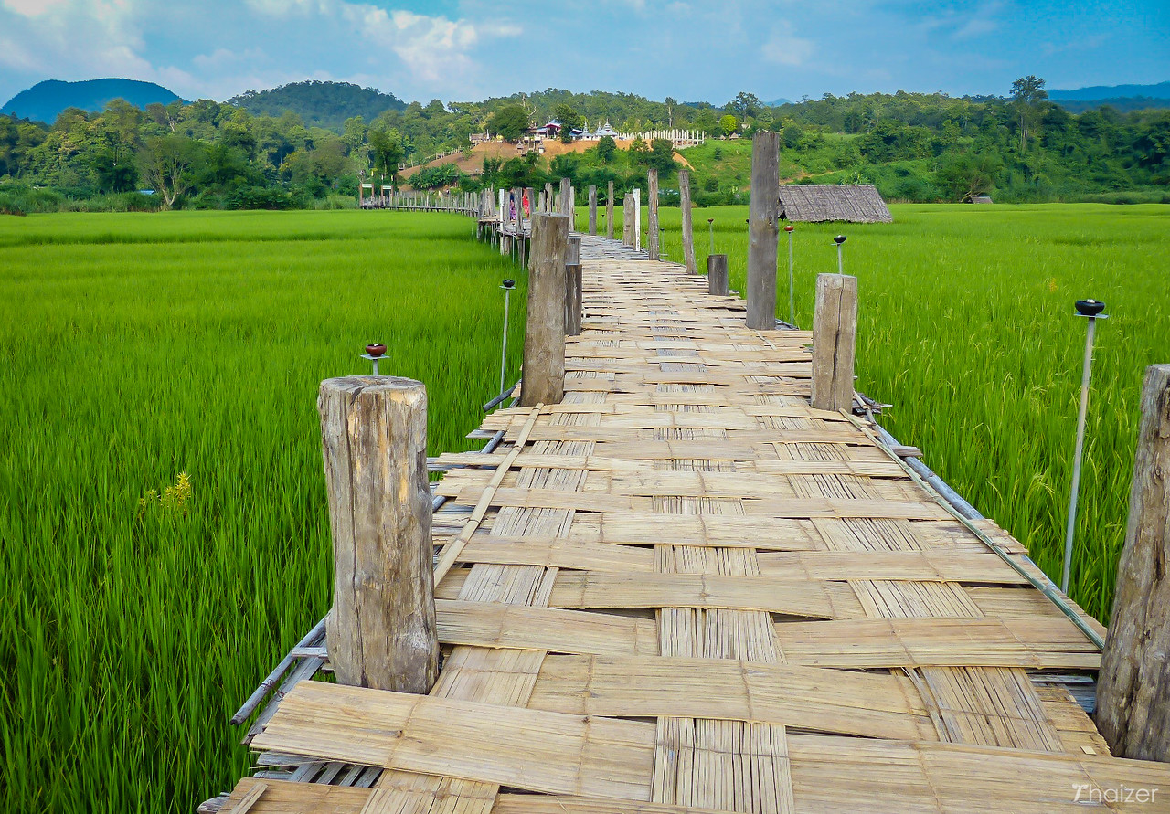 El Puente de Bambú de la Fe sobre los arrozales de Mae Hong Son