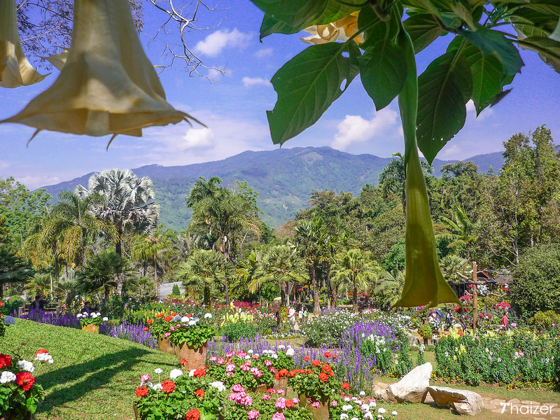 Jardín Mae Fah Luang, Doi Tung, Chiang Rai