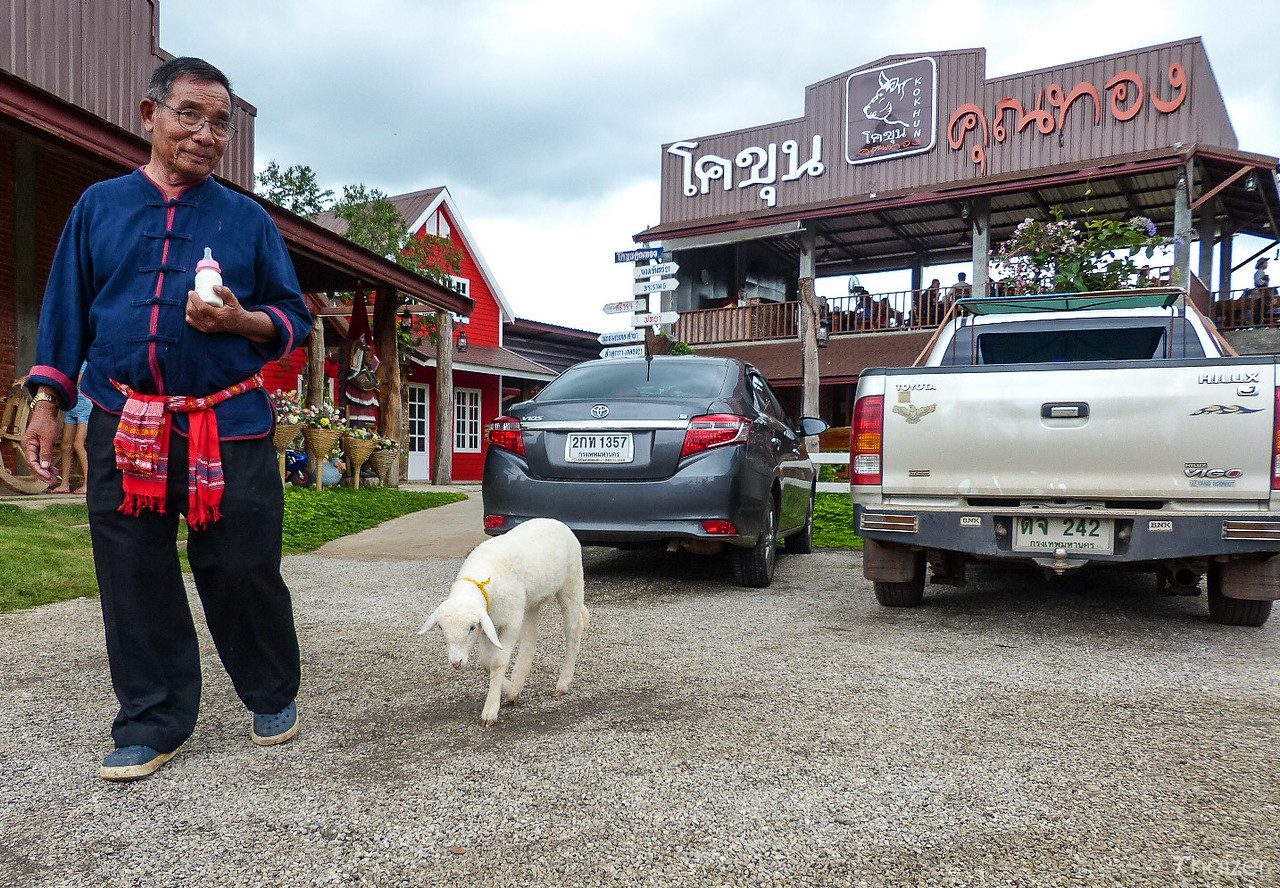 La improbable obsesión de Tailandia por las ovejas