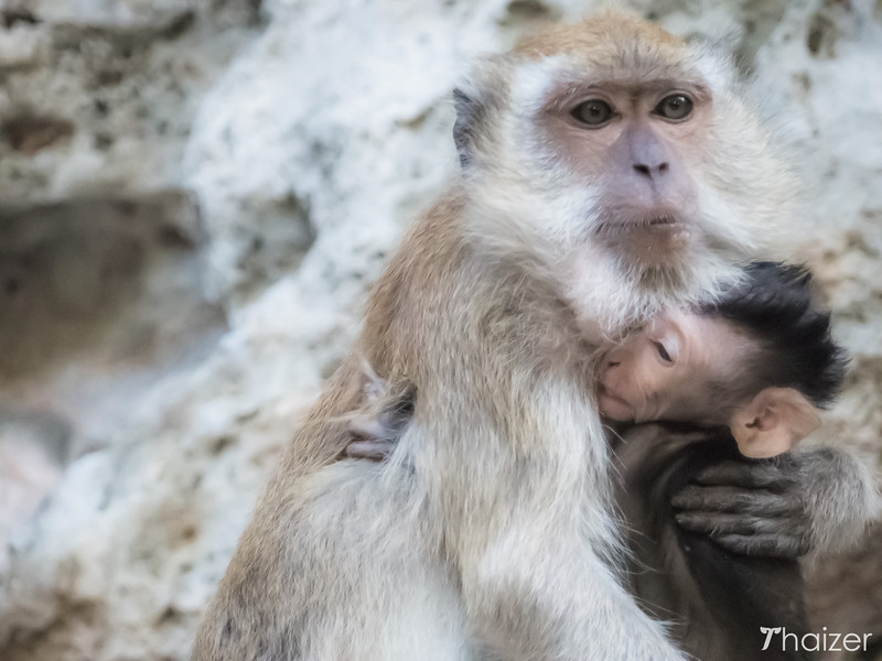 Tonteando en Tailandia