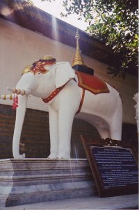 El elefante en Tailandia